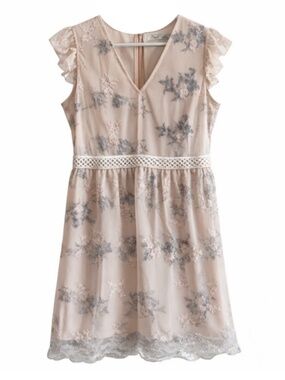 Dex Blush & Gray Floral Lace Mesh Flutter Sleeve Dress - Size Large EUC